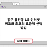 동구 용전동 LG 인터넷 비교와 최고의 요금제 선택 방법