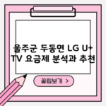 울주군 두동면 LG U+ TV 요금제 분석과 추천