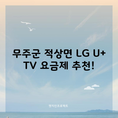 무주군 적상면 LG U+ TV 요금제 추천!