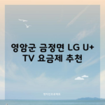 영암군 금정면 LG U+ TV 요금제 추천