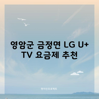 영암군 금정면 LG U+ TV 요금제 추천