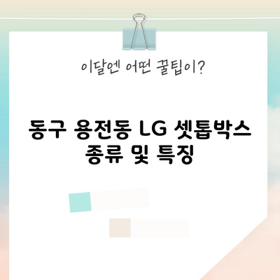 동구 용전동 LG 셋톱박스 종류 및 특징