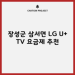 장성군 삼서면 LG U+ TV 요금제 추천