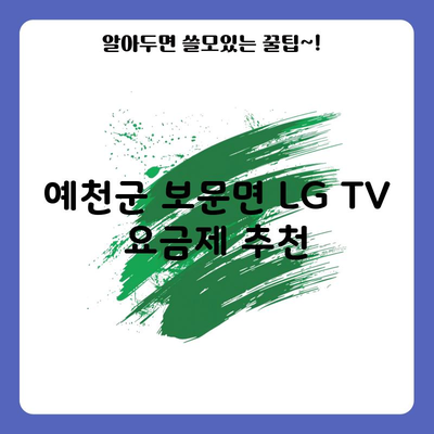 예천군 보문면 LG TV 요금제 추천