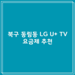 북구 동림동 LG U+ TV 요금제 추천