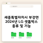 세종특별자치시 부강면 2024년 LG 셋톱박스 종류 및 기능