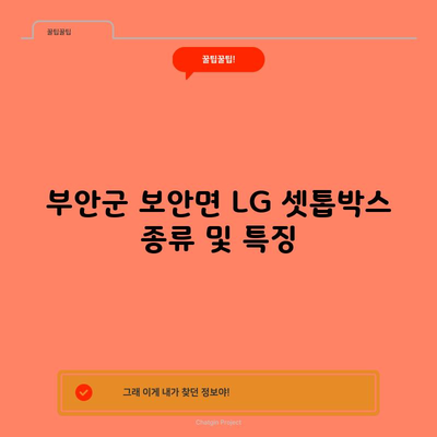 부안군 보안면 LG 셋톱박스 종류 및 특징