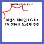 서산시 해미면 LG U+ TV 성능과 요금제 추천