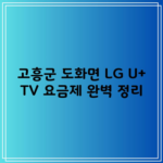 고흥군 도화면 LG U+ TV 요금제 완벽 정리