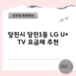 당진시 당진1동 LG U+ TV 요금제 추천