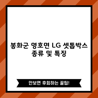 봉화군 명호면 LG 셋톱박스 종류 및 특징