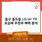 동구 홍도동 LG U+ TV 요금제 추천과 혜택 분석