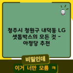 청주시 청원구 내덕동 LG 셋톱박스의 모든 것 – 아정당 추천