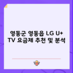 영동군 영동읍 LG U+ TV 요금제 추천 및 분석