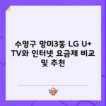 수영구 망미3동 LG U+ TV와 인터넷 요금제 비교 및 추천