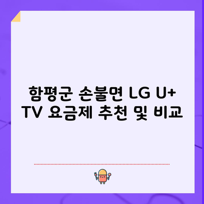 함평군 손불면 LG U+ TV 요금제 추천 및 비교