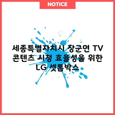 세종특별자치시 장군면 TV 콘텐츠 시청 효율성을 위한 LG 셋톱박스