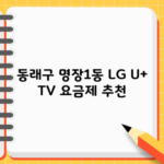 동래구 명장1동 LG U+ TV 요금제 추천