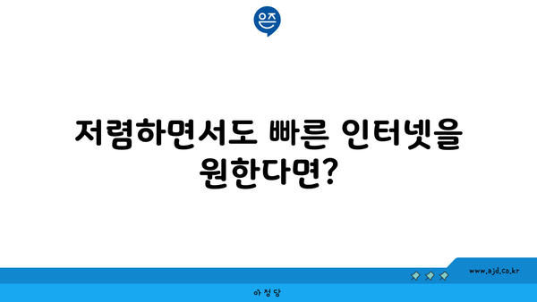 저렴하면서도 빠른 인터넷을 원한다면?