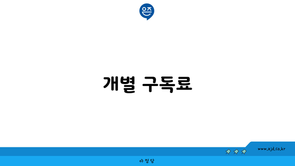 개별 구독료