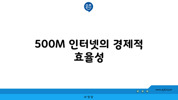 500M 인터넷의 경제적 효율성