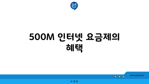 500M 인터넷 요금제의 혜택