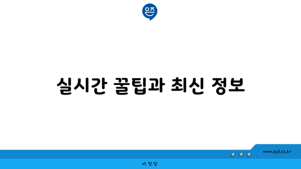 실시간 꿀팁과 최신 정보