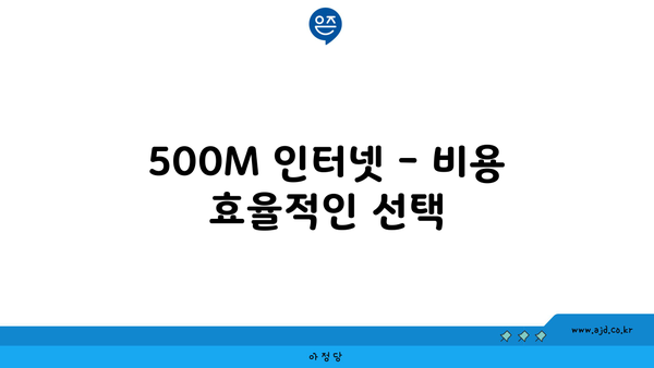 500M 인터넷 - 비용 효율적인 선택