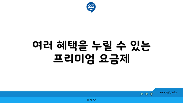 여러 혜택을 누릴 수 있는 프리미엄 요금제