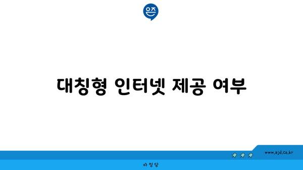 대칭형 인터넷 제공 여부