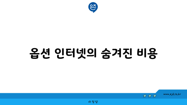 옵션 인터넷의 숨겨진 비용