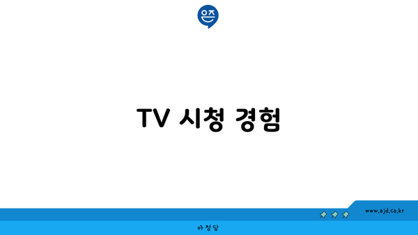 TV 시청 경험