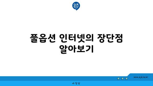 풀옵션 인터넷의 장단점 알아보기