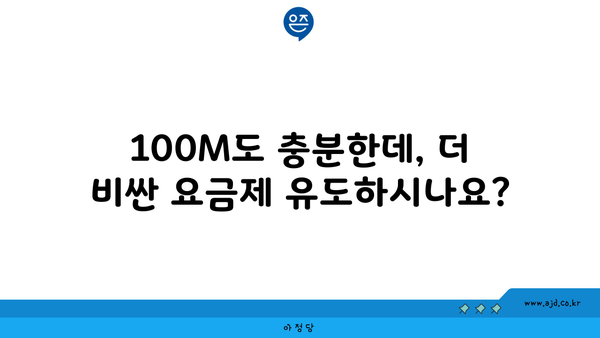 100M도 충분한데, 더 비싼 요금제 유도하시나요?