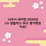 나주시 세지면 2024년 LG 셋톱박스 최고 평가받은 이유!