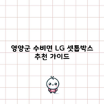 영양군 수비면 LG 셋톱박스 추천 가이드