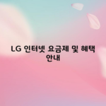 LG 인터넷 요금제 및 혜택 안내