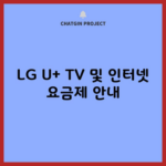 LG U+ TV 및 인터넷 요금제 안내