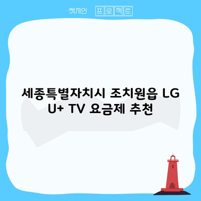 세종특별자치시 조치원읍 LG U+ TV 요금제 추천