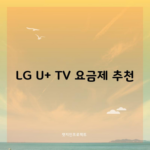 LG U+ TV 요금제 추천