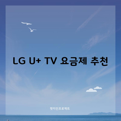 LG U+ TV 요금제 추천