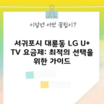 서귀포시 대륜동 LG U+ TV 요금제: 최적의 선택을 위한 가이드