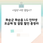 화순군 화순읍 LG 인터넷 요금제 및 결합 할인 총정리