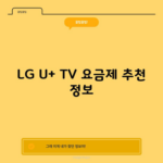 LG U+ TV 요금제 추천 정보