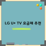 LG U+ TV 요금제 추천