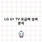 LG U+ TV 요금제 상세 분석