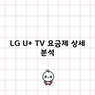 LG U+ TV 요금제 상세 분석