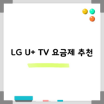 LG U+ TV 요금제 추천