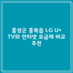 홍성군 홍북읍 LG U+ TV와 인터넷 요금제 비교 추천