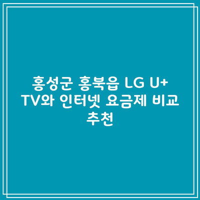 홍성군 홍북읍 LG U+ TV와 인터넷 요금제 비교 추천